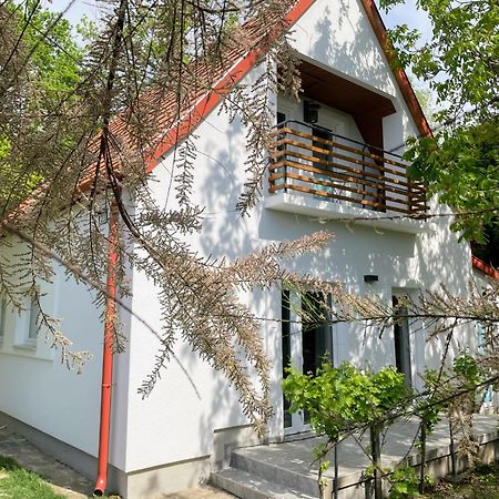 Quiet, Green, Relaxing Place - 2 Bedroom Apartment Balatonfured Exterior photo